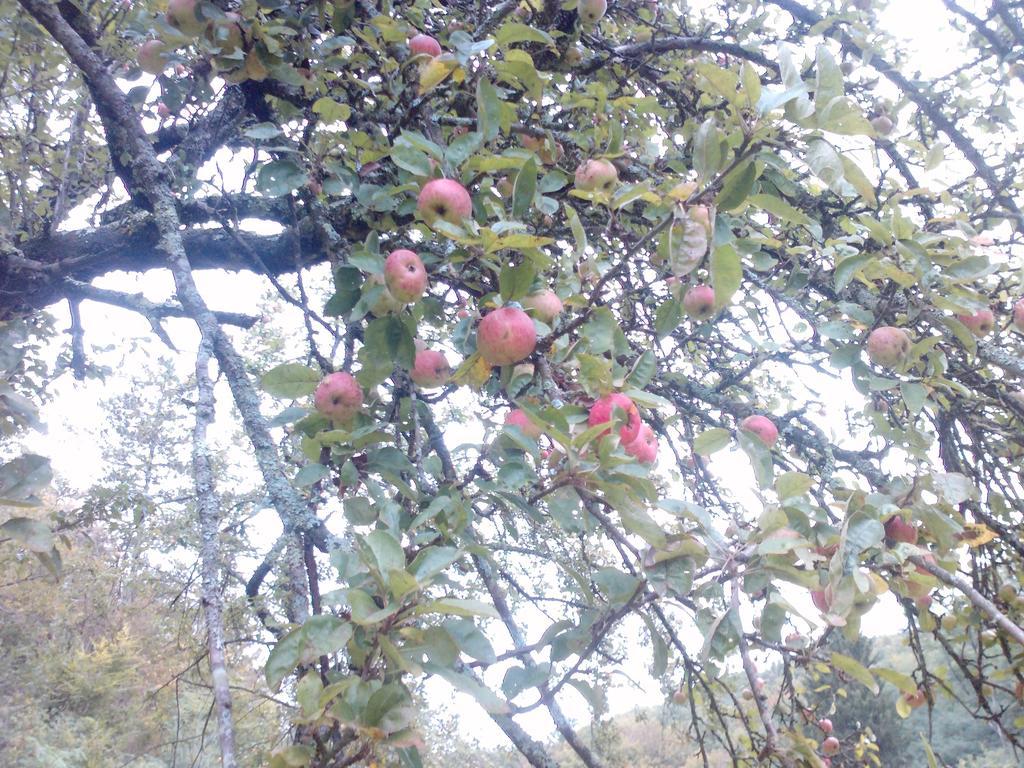 Divača Osterija Na Planinci B&B 외부 사진